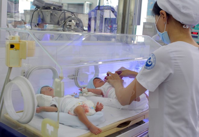 Cặp song sinh nhờ mang thai hộ đầu tiên khu vực phía Nam tại Bệnh viện Từ Dũ. (Ảnh: TTXVN) 