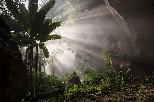 A corner of Son Doong cave (Source: Ryan Deboodt)