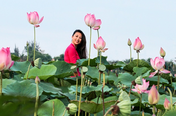    ‘Ngay Sen Ha’ (A Summer’s Day in the Lotus Field)