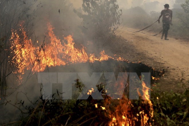 Forest fire in South Sumatra province in September, 2015 (Photo: Reuters/VNA)