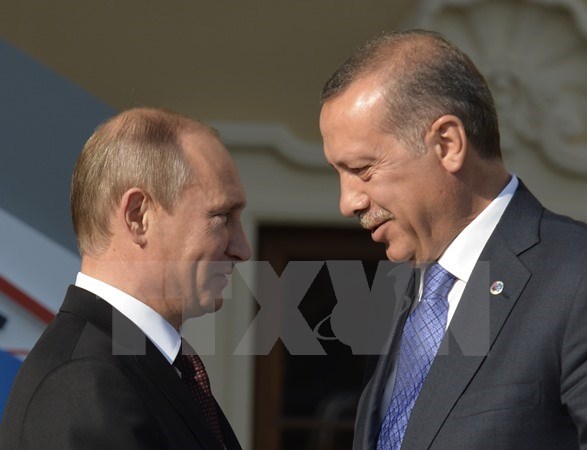 Tổng thống Thổ Nhĩ Kỳ Recep Tayyip Erdogan (phải) trong cuộc gặp với Tổng thống Nga Vladimir Putin tại Saint Petersburg ngày 5/9/2013. (Nguồn: AFP/TTXVN)