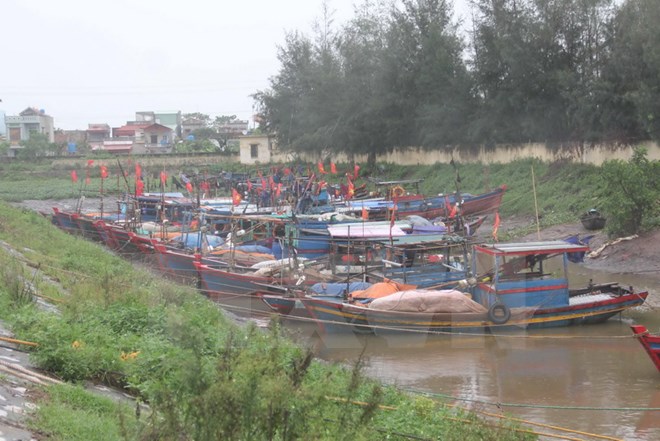 Tàu thuyền của ngư dân huyện Thái Thụy tránh trú bão tại cảng cá Tân Sơn trên địa bàn. (Ảnh: Xuân Tiến/TTXVN)