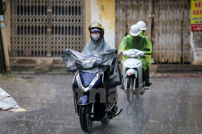 (Ảnh minh họa: Lê Minh Sơn/Vietnam+)