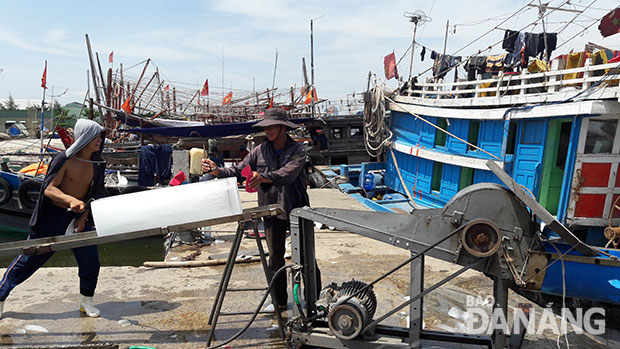  Ice being loaded onto a local fishing boat