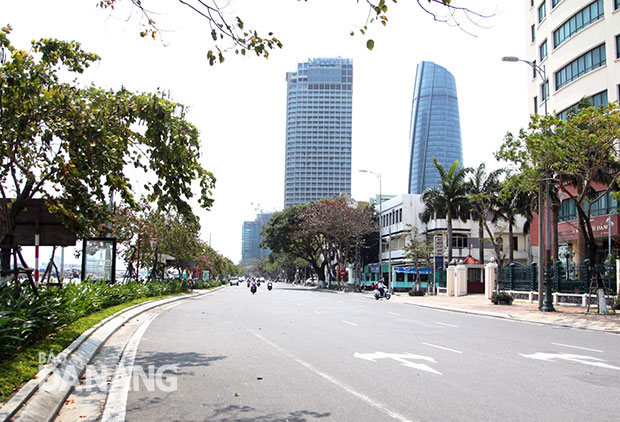  Green trees along Bach Dang