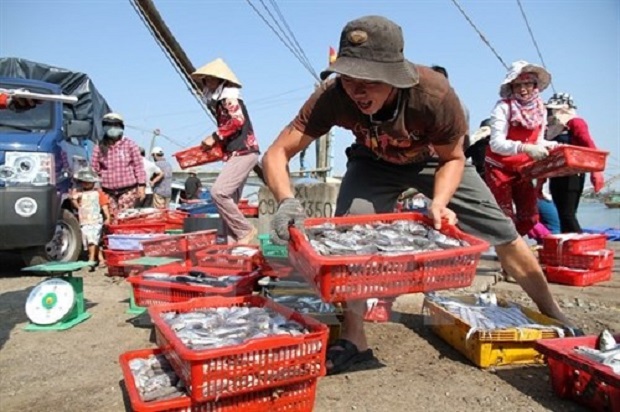 Fishermen in Quang Tri province (Source: VNA)