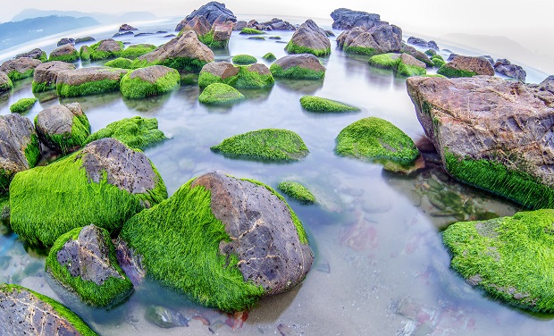  Nam O Beach is well-known for its numerous green mossy rocks