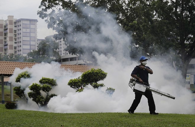 A pest-control worker fumigates drains and gardens at a housing estate where the latest case of Zika infections were reported in Singapore (Photo: AP)