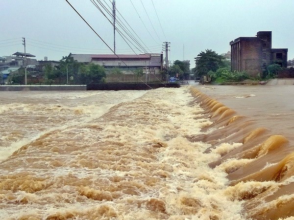 (Ảnh minh họa: Nguyễn Hoàng/TTXVN)