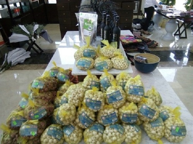 Garlic of Ly Son Island is displayed at a shop in Quang Ngai province (Photo: VNA)