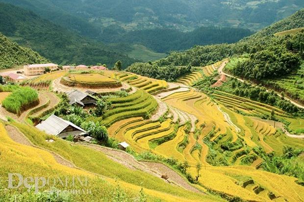 Cao Pha Valley below the Khau Pha Pass is also among attractive destinations