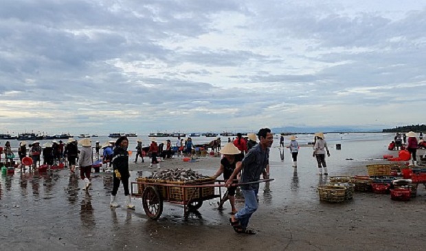 Freshly caught fish are sold at the beach in Canh Duong Commune, located in the central Vietnamese province of Quang Binh. Tuoi Tre