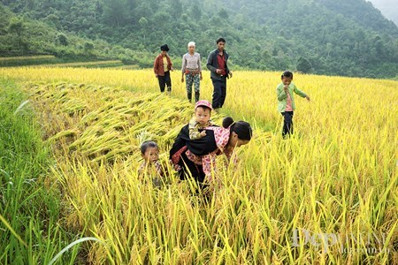 (Nguồn: Đẹp/Vietnam+)