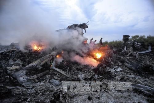 The scene of the Malaysia Airlines' flight MH17's explosion in Donetsk, Ukraine. (Source: EPA/VNA)