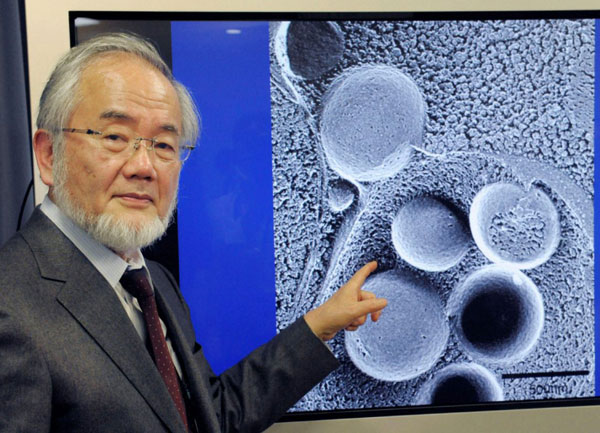 Ông Yoshino Ohsumi là giáo sư tại Viện Công nghệ Tokyo. Ảnh: Reuters