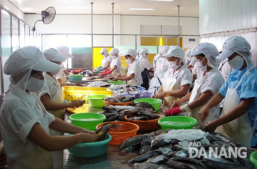 Workers at a local seafood processing company