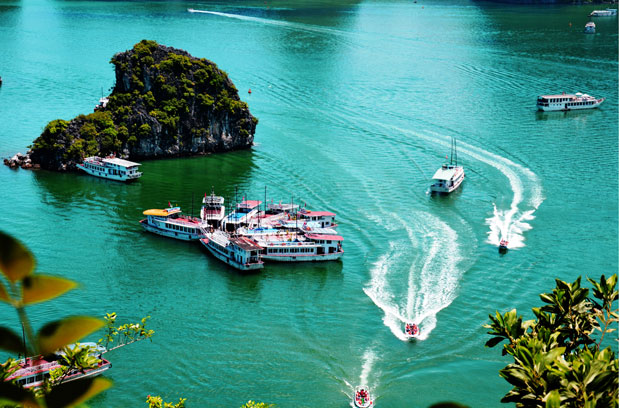 Nước biển trong xanh bốn mùa là điểm đặc trưng khiến du khách không thể không ghé chân mỗi lần đi tham quan vịnh Hạ Long. 