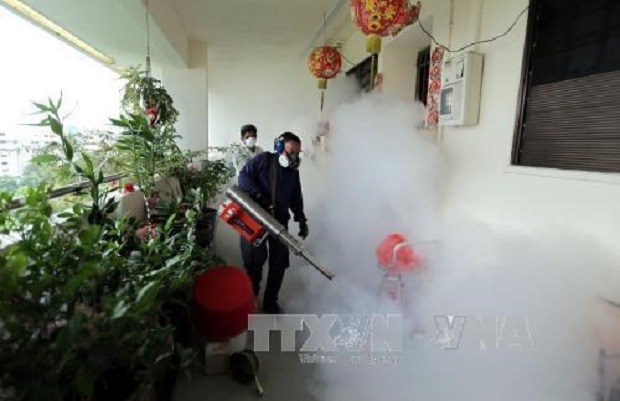 Health staff are spraying chemicals killing mosquitoes to prevent the spread of Zika virus. (Source: AFP/VNA)