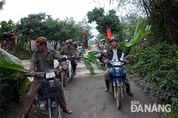 Hỗ trợ chuối giống cho hộ nghèo ở xã Hòa Sơn (Hòa Vang).