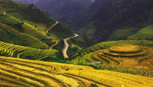 Picturesque terraced rice fields