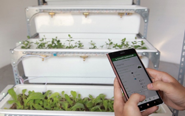 Using the ‘Smart Garden’ software to monitor the garden