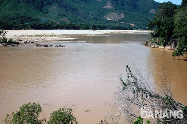 Trữ lượng nước sông Vu Gia thường xuyên biến động mạnh do tác động của việc vận hành thủy điện. (Ảnh chụp đoạn sông Vu Gia qua xã Đại Sơn, huyện Đại Lộc, đầu nguồn sông Vu Gia).  			                       Ảnh: HOÀNG HIỆP