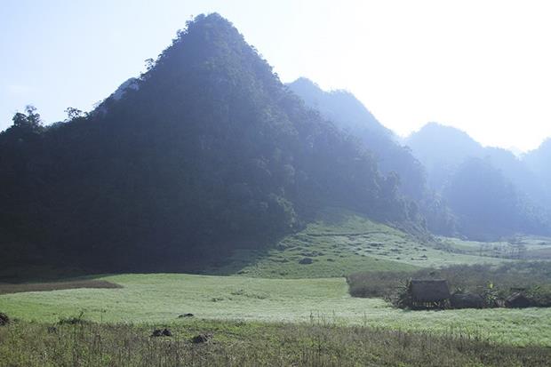 The hills in Son La Province, more than 200 kilometers to the west of Hanoi, are very popular among tourists.