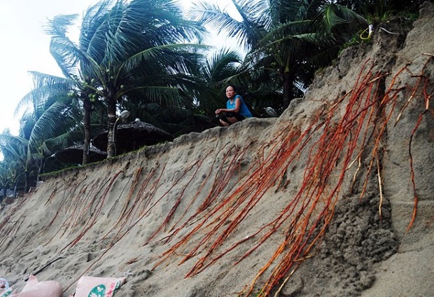 Erosion in Lang Co beach (Source: internet)