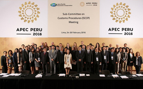 APEC 2016 khai mạc tại Peru. (Ảnh: AP)