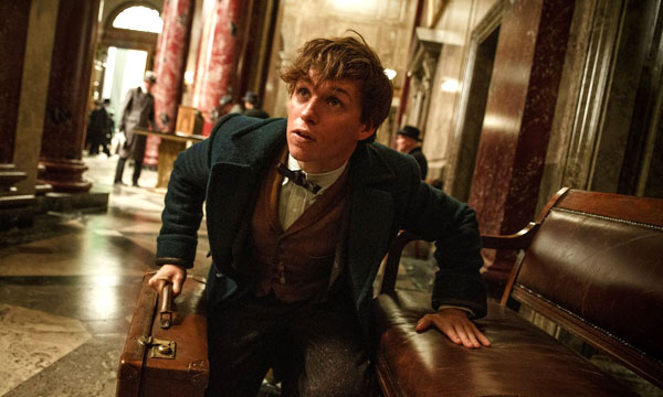 Scamander trong Fantastic Beasts and Where to Find Them. Ảnh: theguardian.com