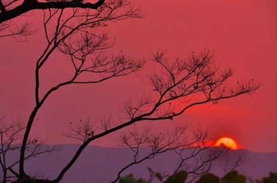 Tourists can enjoy a sunset view over Son Tra peninsula. (Photo: VNA)