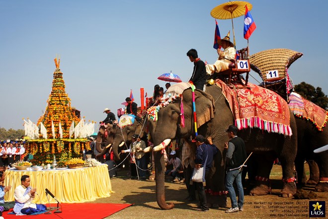 Laos’ Elephant Festival. (Photo: www.laostourism.org)