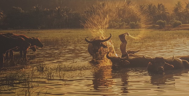   ‘He Ve Ben Bo Song Cai’ (When Summer Comes on the Cai River) by Do Tuan Ngoc (Photo taken in Nha Trang City in 2015)