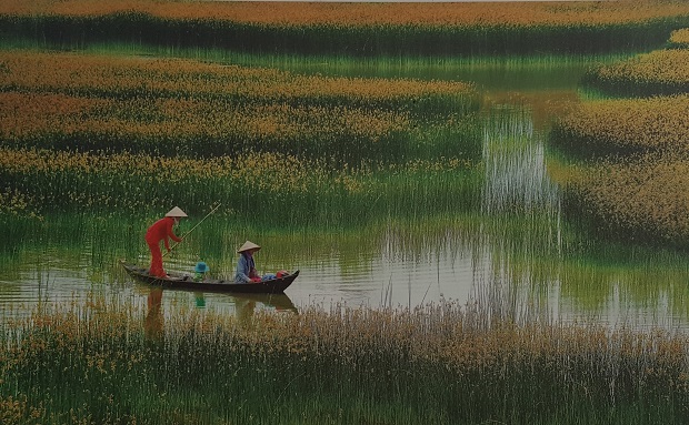 ‘Ra Cho’ (On the Way to the Market) by Pham Tri Nhan (Photo taken in Ca Mau Province in March 2016)