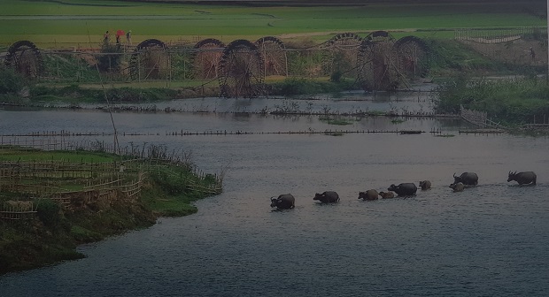   ‘Chieu Song Hieu’ (The Hieu River in the Afternoon) by Nguyen Canh Hung (Photo taken at Nghe An Province’s Quy Chau District)