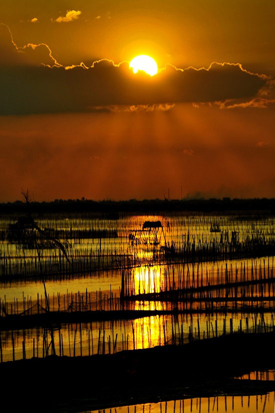   ‘Chieu Tren Dam Sam’ (Sam Lagoon in the Afternoon)