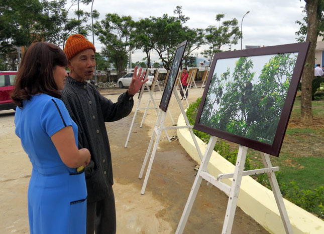 Visitors at the red-shanked douc langurs exhibition