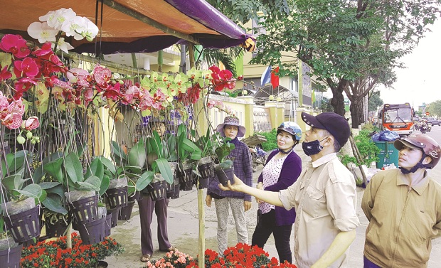   Various types of orchird flowers on display at a Spring flower market