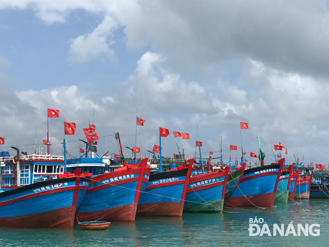 Những lá cờ tung bay phấp phới như những cánh tay vẫy gọi