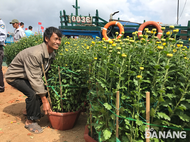 Ông Dương Anh (57 tuổi, ngụ thôn Tây, xã An Hải, huyện Lý Sơn, tỉnh Quảng Ngãi) cho biết: “Dự báo thời tiết thông tin những ngày sắp đến thời tiết xấu nên năm nay tôi lấy hoa về sớm để kịp phục vụ nhu cầu của bà con…”. 