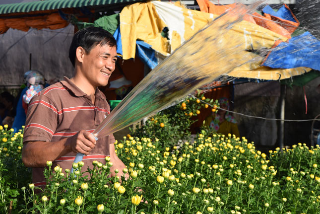 Cả người và hoa đều tươi sắc trong thời khắc giao mùa