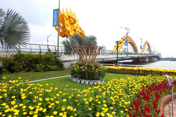 Beautiful yellow chrysanthemums, celosia cristatas and marigolds