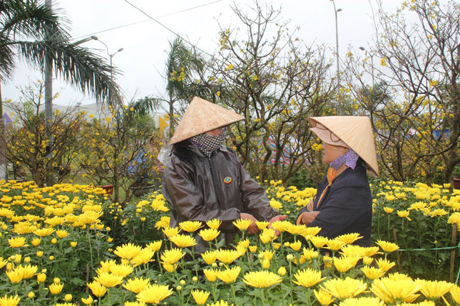 Hai người phụ nữ ở hai gian hàng cạnh nhau, người bán cúc, người bán mai, chia sẻ chuyện buôn bán ế ẩm. Lòng họ canh cánh nỗi lo không đủ tiền sắm Tết tươm tất cho gia đình ở quê. 