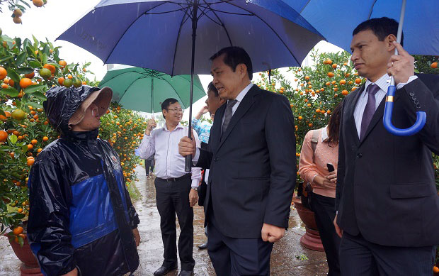 Chairman Tho (centre) and Vice Chairman Minh (right) speaking to a flower trader