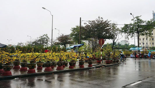 There were few visitors to the Tet flower market due to the wet weather