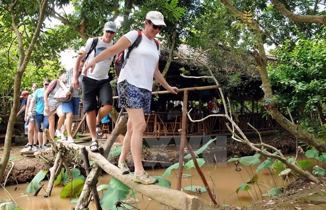 Viet Nam welcomes 10 million foreign visitors in 2016 (Phôt: VNA)