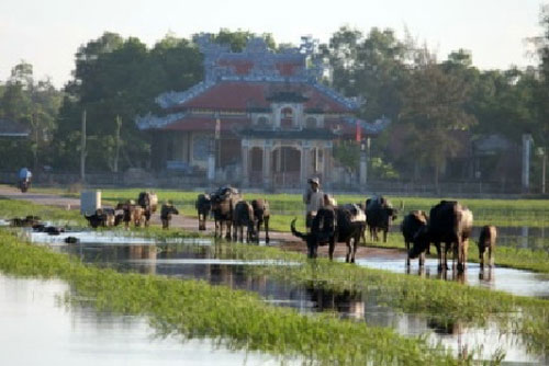 Vào làng Phương Lang.