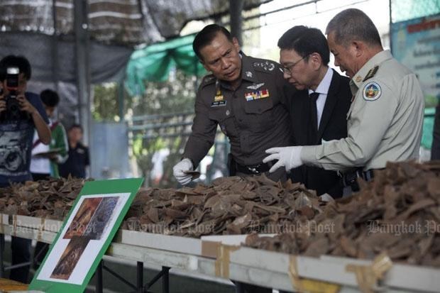 The haul is the highest amount of pangolin scales seized by Thai authorities so far (Source: bangkokpost.com)