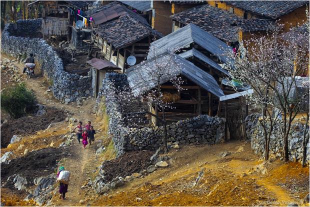 Photo from VnExpress Photo Contest/Tran Anh Tuan