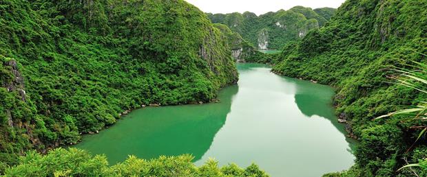 Cat Ba National Park. Photo from Vuonquocgiacatba